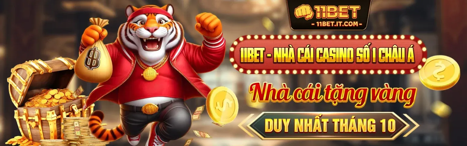Chính Sách Cookie 1xbet win